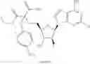 Fig. 295 - Ectonucleotidase inhibitors and methods of use thereof