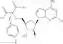 Fig. 303 - Ectonucleotidase inhibitors and methods of use thereof