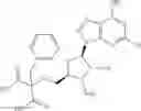 Fig. 306 - Ectonucleotidase inhibitors and methods of use thereof