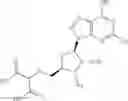 Fig. 307 - Ectonucleotidase inhibitors and methods of use thereof