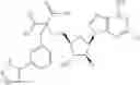 Fig. 308 - Ectonucleotidase inhibitors and methods of use thereof