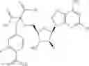Fig. 313 - Ectonucleotidase inhibitors and methods of use thereof