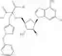 Fig. 317 - Ectonucleotidase inhibitors and methods of use thereof