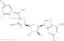 Fig. 330 - Ectonucleotidase inhibitors and methods of use thereof