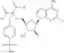 Fig. 337 - Ectonucleotidase inhibitors and methods of use thereof