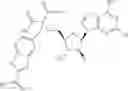 Fig. 339 - Ectonucleotidase inhibitors and methods of use thereof