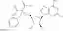 Fig. 341 - Ectonucleotidase inhibitors and methods of use thereof