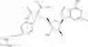 Fig. 342 - Ectonucleotidase inhibitors and methods of use thereof