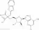 Fig. 346 - Ectonucleotidase inhibitors and methods of use thereof