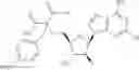 Fig. 349 - Ectonucleotidase inhibitors and methods of use thereof