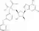 Fig. 351 - Ectonucleotidase inhibitors and methods of use thereof