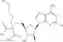 Fig. 355 - Ectonucleotidase inhibitors and methods of use thereof