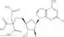 Fig. 356 - Ectonucleotidase inhibitors and methods of use thereof