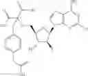 Fig. 401 - Ectonucleotidase inhibitors and methods of use thereof