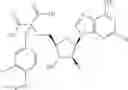 Fig. 407 - Ectonucleotidase inhibitors and methods of use thereof