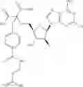 Fig. 409 - Ectonucleotidase inhibitors and methods of use thereof