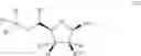 Fig. 419 - Ectonucleotidase inhibitors and methods of use thereof