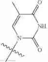 Fig. 421 - Ectonucleotidase inhibitors and methods of use thereof