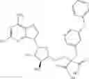 Fig. 429 - Ectonucleotidase inhibitors and methods of use thereof