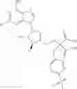 Fig. 439 - Ectonucleotidase inhibitors and methods of use thereof