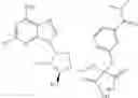 Fig. 441 - Ectonucleotidase inhibitors and methods of use thereof