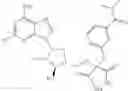 Fig. 442 - Ectonucleotidase inhibitors and methods of use thereof
