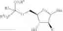 Fig. 458 - Ectonucleotidase inhibitors and methods of use thereof
