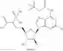 Fig. 461 - Ectonucleotidase inhibitors and methods of use thereof