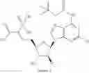Fig. 462 - Ectonucleotidase inhibitors and methods of use thereof