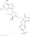 Fig. 47 - Ectonucleotidase inhibitors and methods of use thereof