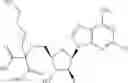 Fig. 474 - Ectonucleotidase inhibitors and methods of use thereof