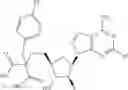 Fig. 476 - Ectonucleotidase inhibitors and methods of use thereof