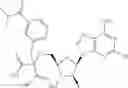 Fig. 478 - Ectonucleotidase inhibitors and methods of use thereof