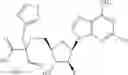Fig. 479 - Ectonucleotidase inhibitors and methods of use thereof
