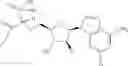 Fig. 480 - Ectonucleotidase inhibitors and methods of use thereof