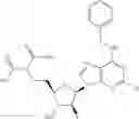 Fig. 482 - Ectonucleotidase inhibitors and methods of use thereof