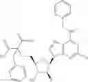 Fig. 484 - Ectonucleotidase inhibitors and methods of use thereof