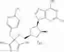Fig. 488 - Ectonucleotidase inhibitors and methods of use thereof