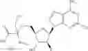 Fig. 489 - Ectonucleotidase inhibitors and methods of use thereof