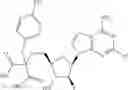 Fig. 490 - Ectonucleotidase inhibitors and methods of use thereof
