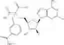 Fig. 498 - Ectonucleotidase inhibitors and methods of use thereof