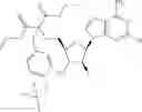 Fig. 504 - Ectonucleotidase inhibitors and methods of use thereof