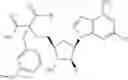 Fig. 505 - Ectonucleotidase inhibitors and methods of use thereof