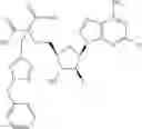 Fig. 519 - Ectonucleotidase inhibitors and methods of use thereof