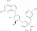 Fig. 53 - Ectonucleotidase inhibitors and methods of use thereof