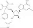 Fig. 533 - Ectonucleotidase inhibitors and methods of use thereof