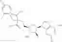 Fig. 535 - Ectonucleotidase inhibitors and methods of use thereof