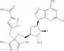 Fig. 538 - Ectonucleotidase inhibitors and methods of use thereof