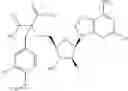 Fig. 540 - Ectonucleotidase inhibitors and methods of use thereof