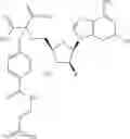 Fig. 542 - Ectonucleotidase inhibitors and methods of use thereof